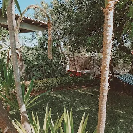 Green Ville Villa